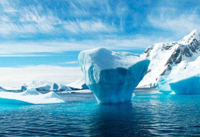 В антарктическом море обнаружено 20-рукое существо