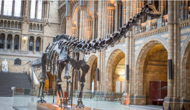 Динозавры, возможно, произошли от теплокровного предка
