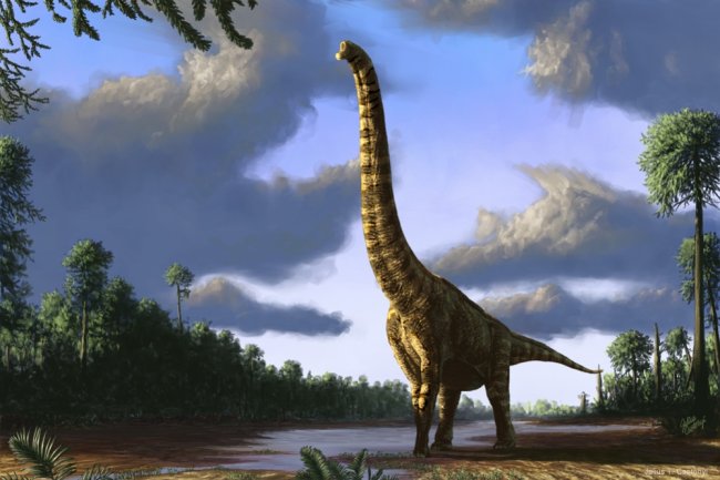 Самые большие травоядные динозавры