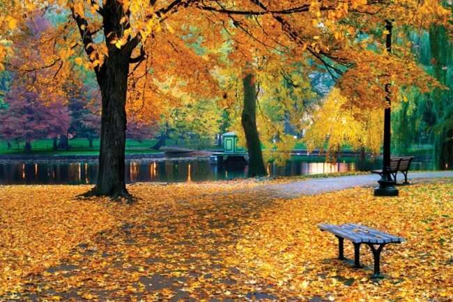 осень, осенью, осенний, парк, прогулка, сентябрь, октябрь, ноябрь, осенняя пора, отдых, наслаждаться, холод, промозглый, дождь