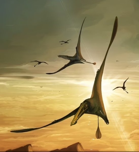 Найдена окаменелость крупнейшего из птерозавров, которые когда-то правили небом