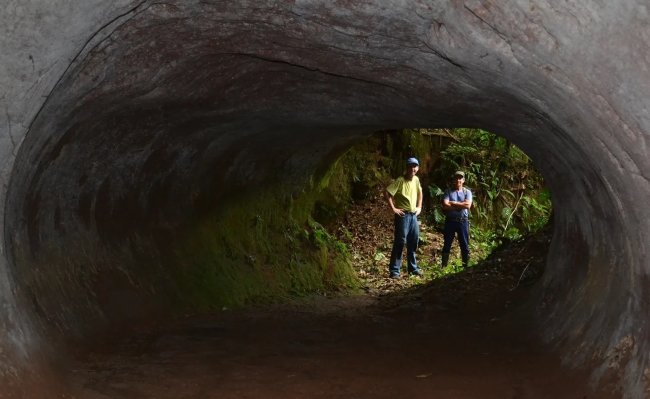 Палеобуры - таинственные туннели Бразилии, созданные гигантскими ленивцами