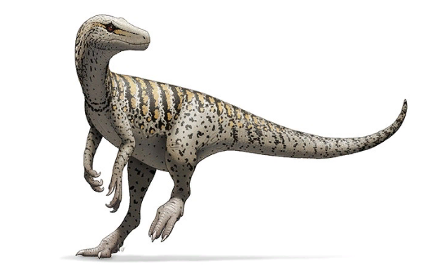 Эрреразавр-один из древнейших динозавров