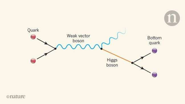 Именно бозоном Хиггса обеспечивается перенос данного поля