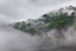 Фантастический туман в Крыму. Интересный рассказ туриста