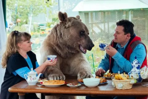 Домашний медведь