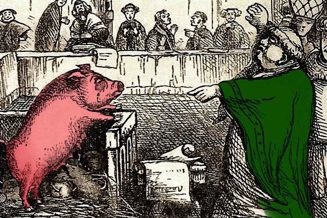 Лондонские свиньи. История свиней святого Антония