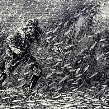 Дождь из рыб