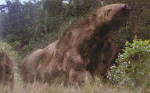 Таинственный Су или гигантский ленивец из Патагонии