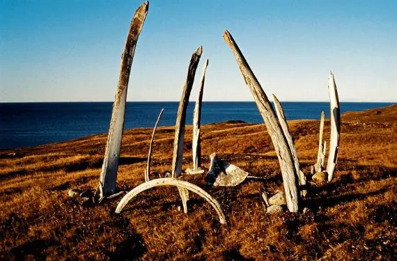 Загадочное место на Чукотке: Китовая аллея
