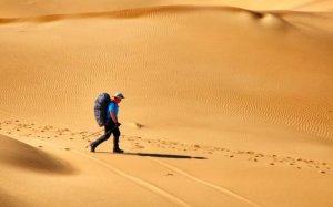 Как выжить в пустыне?