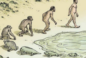 Тайны происхождения человека. Первый шаг от приматов к людям