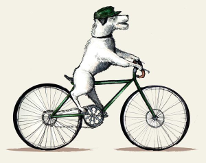 Собака и велосипедист