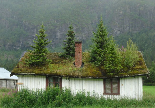 Травяные крыши