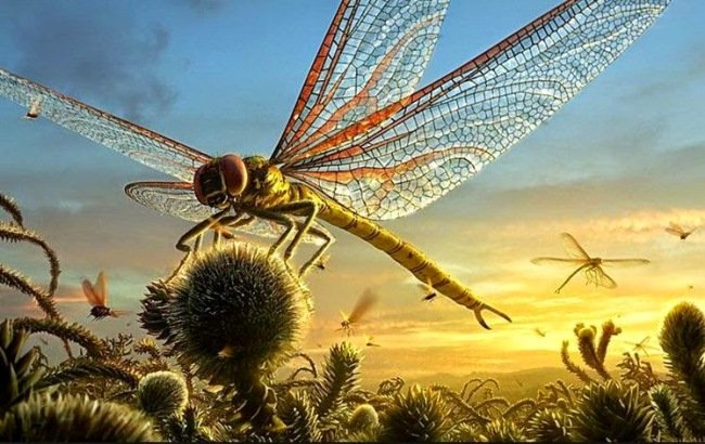 Почему вымерли гигантские насекомые?