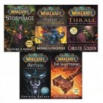 Обзор книги Word of Warcraft