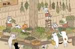 Кота не проведешь. Рассказ