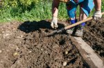 «Острый язычок» соседки по даче
