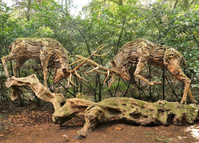 Заработок из подручных средств: создание скульптур из корней деревьев