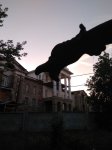 Тайна мрачного дома