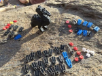 Миллионы деталей Lego, потерпевших кораблекрушение, находят на берегу через четверть века