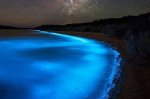 Светящееся молочное море