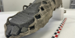 1700-летняя сандалия найдена в горах Норвегии