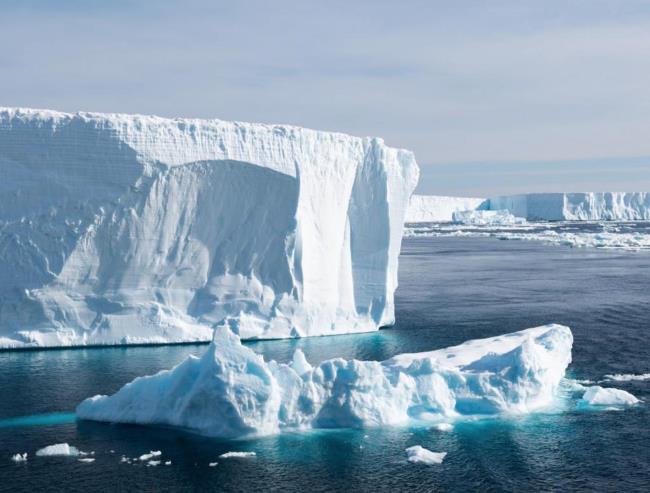 «Впечатляющее открытие» в Антарктиде: огромная колония ледяных рыб