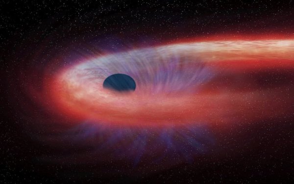 Во Млечном Пути астрономы обнаружили блуждающую чёрную дыру
