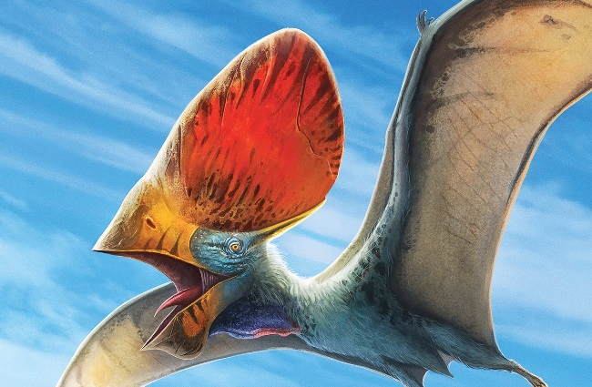 У птерозавров были ярко окрашенные перья, как у туканов