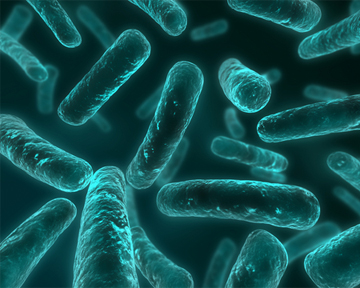 В поисках антибиотиков. Средство для борьбы с супербактериями найдено в пустыне