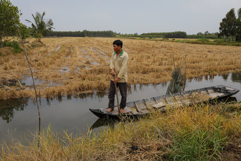 00cli-rice-farming-bljz-master768.jpg