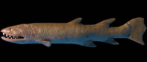 Hyneria udlezinye – рыба, которая ела наших предков