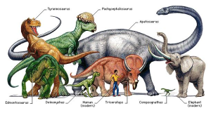Почему гигантские доисторические животные стали меньше