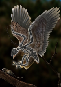 Cratonavis zhui: недавно обнаруженная окаменелость выглядит как нечто среднее между птицами и динозаврами