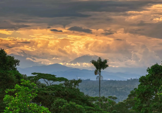 Открытие затерянной сети городов в Амазонии