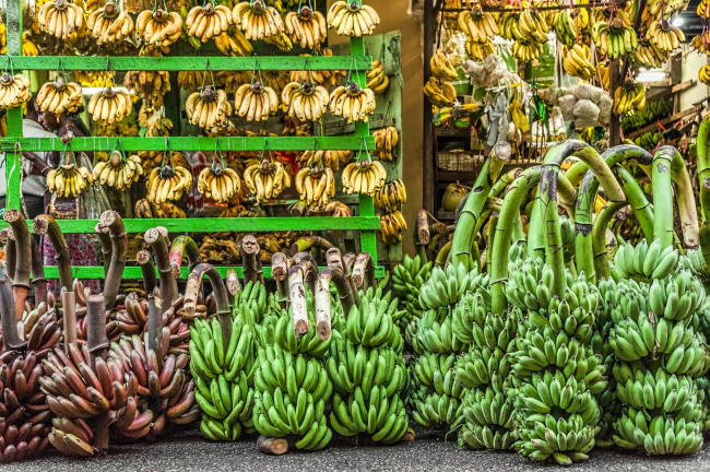 Поиски таинственных предков бананов
