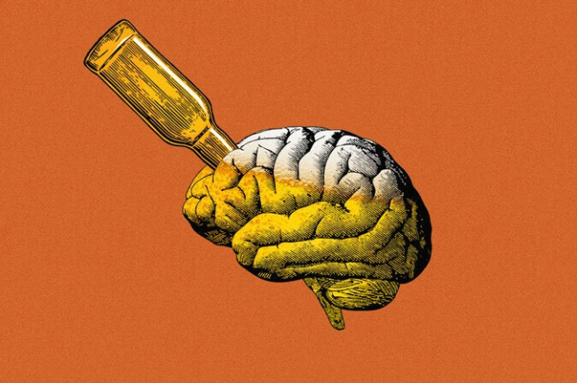 Алкоголь и наркотики перестраивают мозг