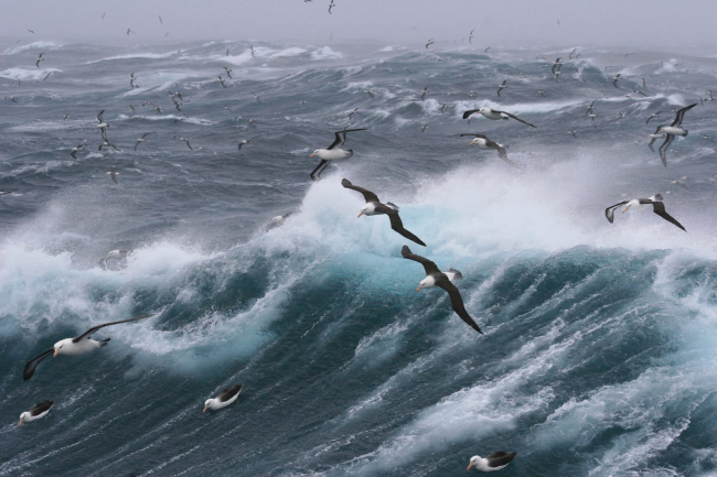 В бурном проливе Дрейка углерод быстро проникает в глубины океана