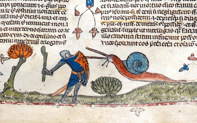 Тайна средневековых боевых улиток