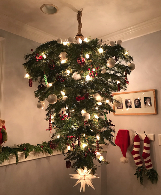 Перевёрнутые рождественские ели – новый тренд со старыми корнями