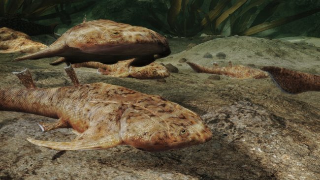 На юге Китая обнаружено скопление окаменелостей древних рыб