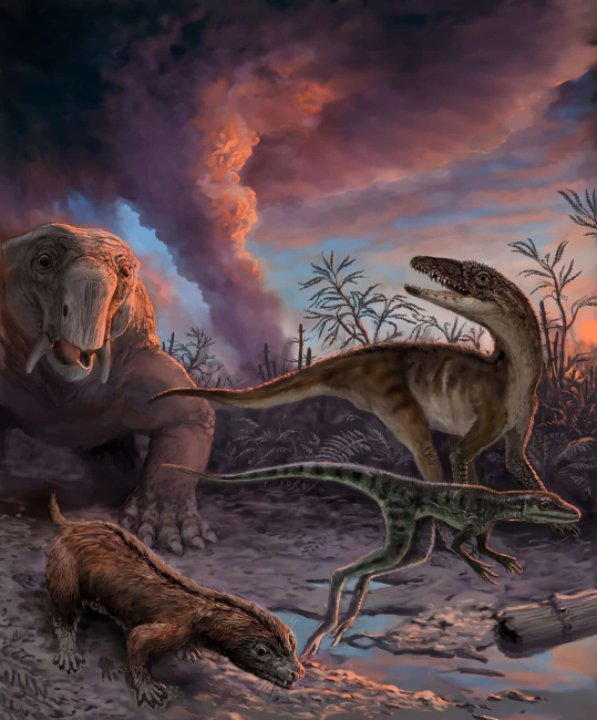 Редкие окаменелости тритилодонта обнаружены в озере Пауэлл
