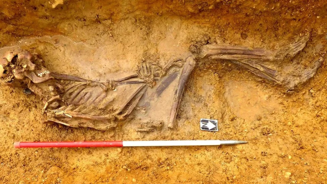Исследование ДНК 2000-летних останков, найденных в Кембриджшире
