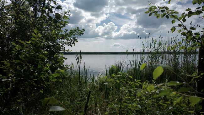 В Вологодской области есть озеро Ивачевское