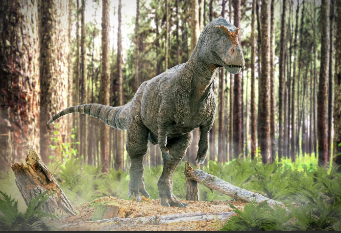 Современная реконструкция мегалозавра