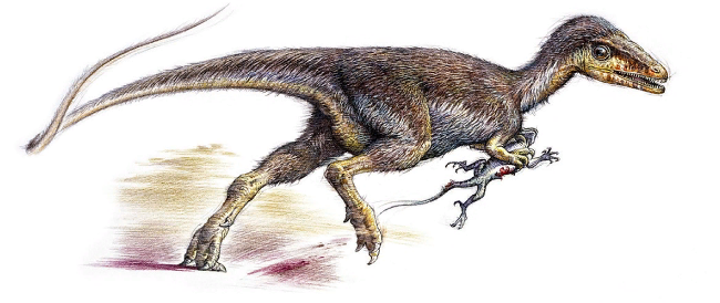 Пернатые динозавры существовали или нет