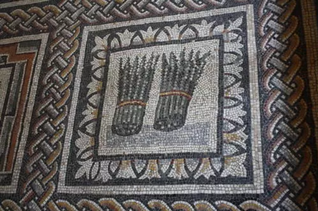 Спаржа, римская мозаика