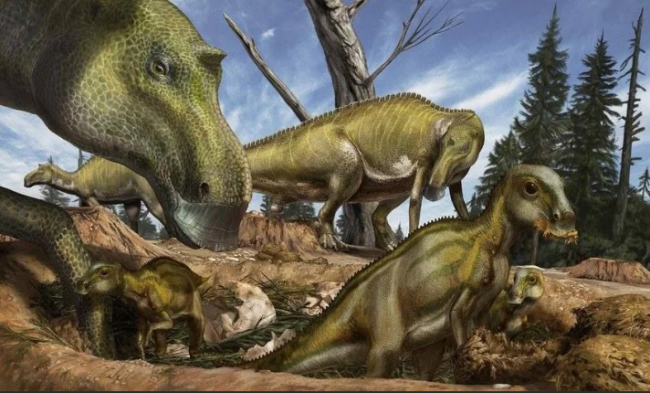 Был ли у динозавров родительский инстинкт