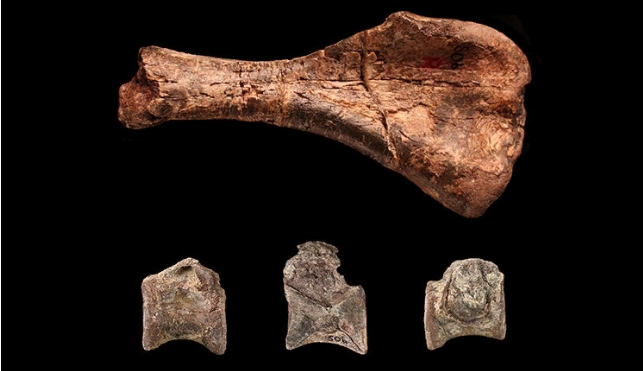 Ископаемые останки первого динозавра